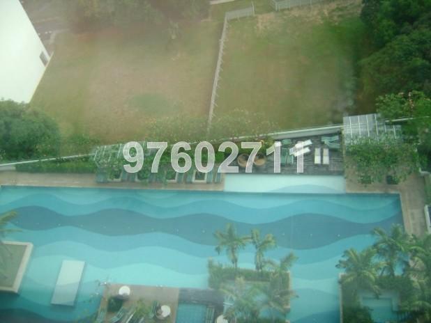 Icon (D2), Apartment #69835562